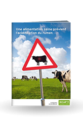 Brochures