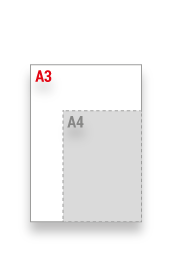 A3