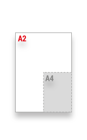 A2