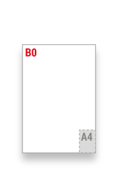 B0