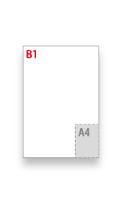 B1
