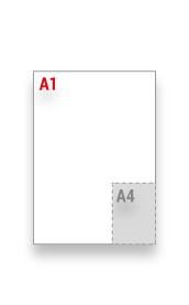 A1
